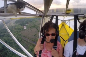 Kot na niebie lub duża niespodzianka dla pilota